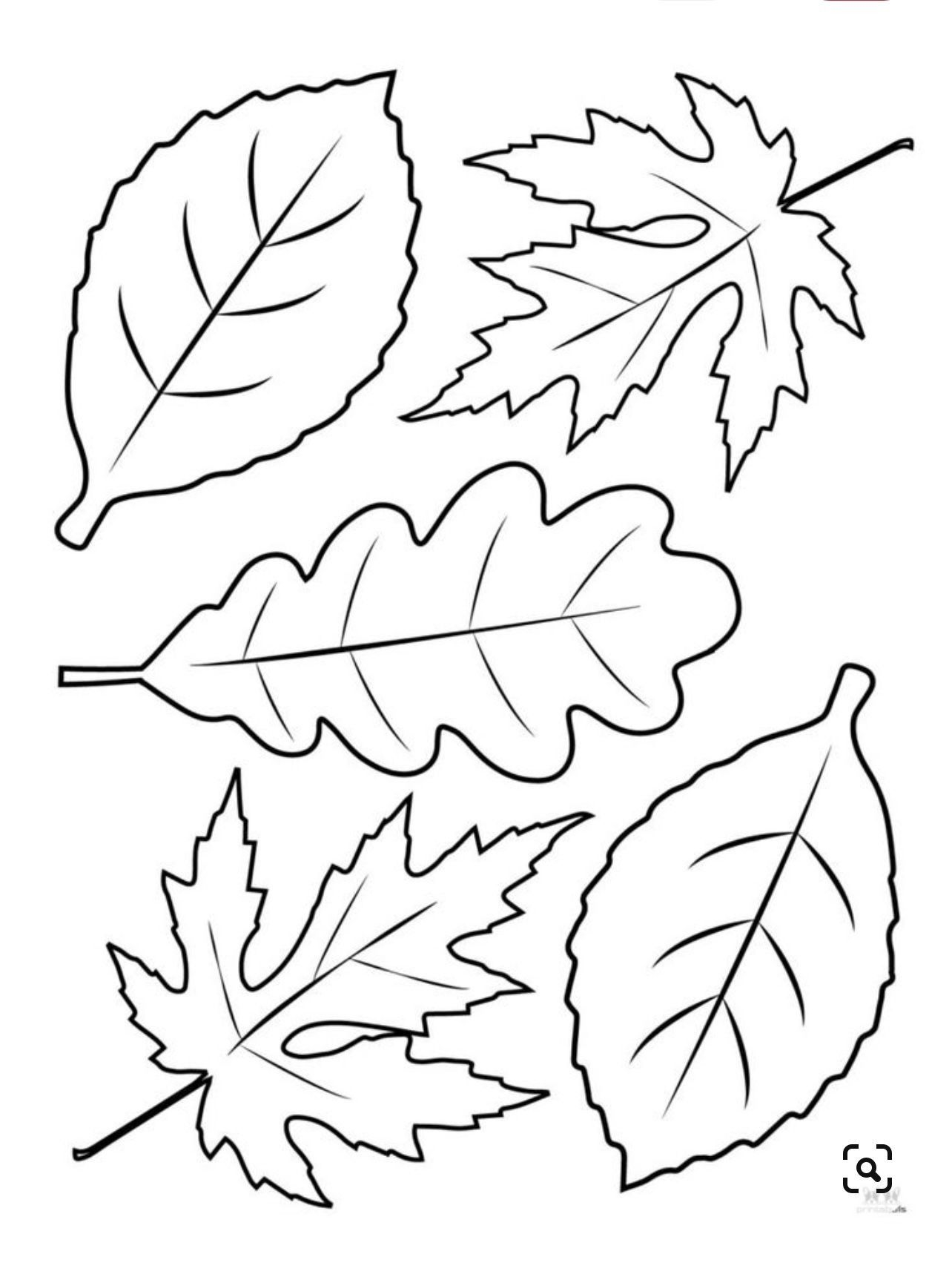 Leaf Template Fall Crafts For Kids Fall Leaf Template Leaf Template Fall Crafts For Kids Fall Leaf Template