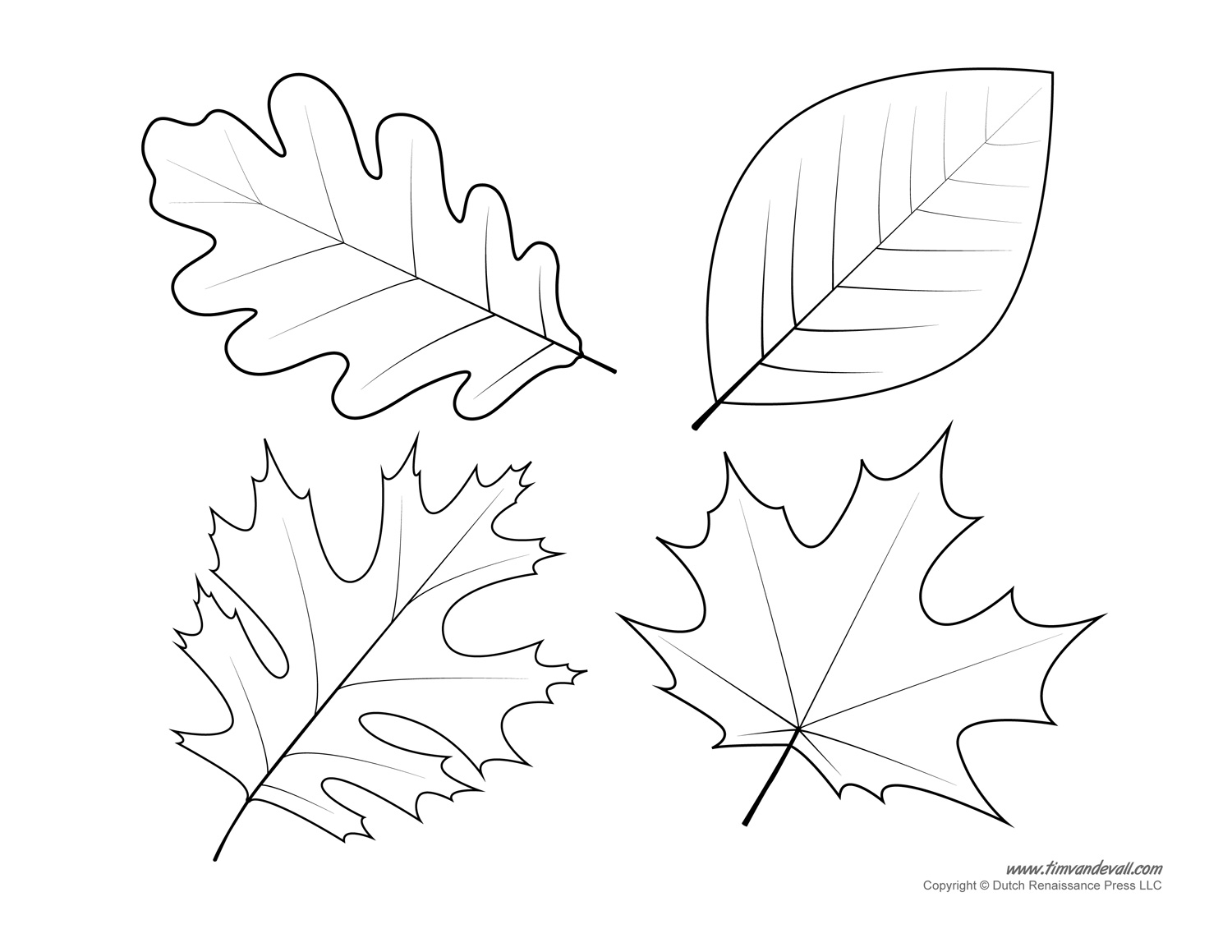 Leaf Templates Leaf Coloring Pages For Kids Leaf Printables Leaf Templates Leaf Coloring Pages For Kids Leaf Printables
