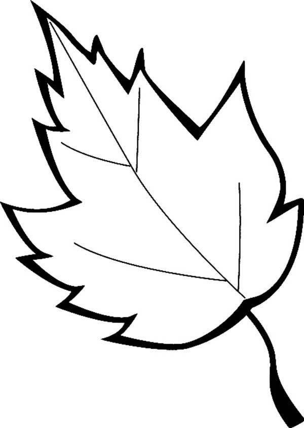 Autumn Leaves Printable Coloring Pages Autumn Leaves Printable Coloring Pages