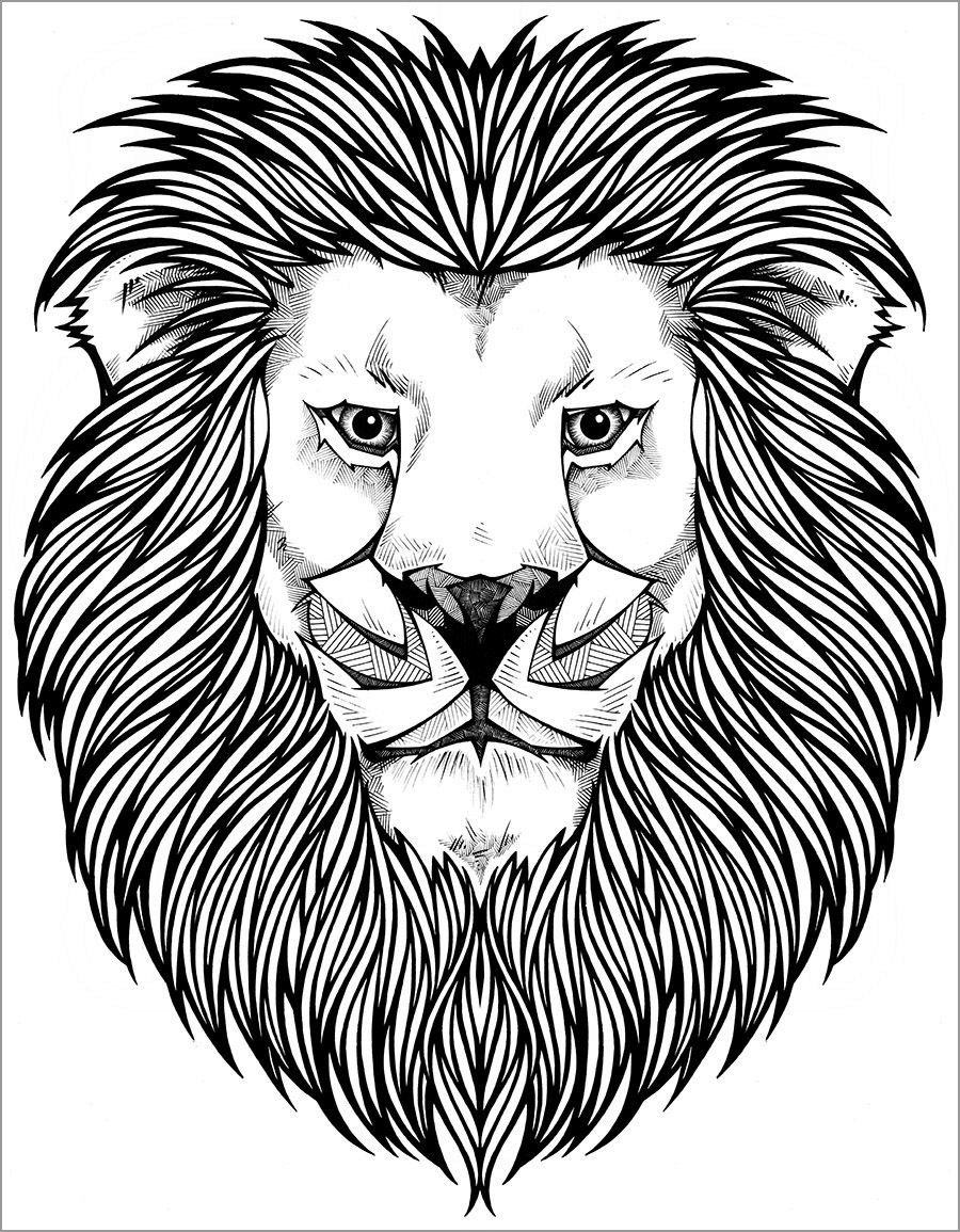 Lion Coloring Pages ColoringBay
