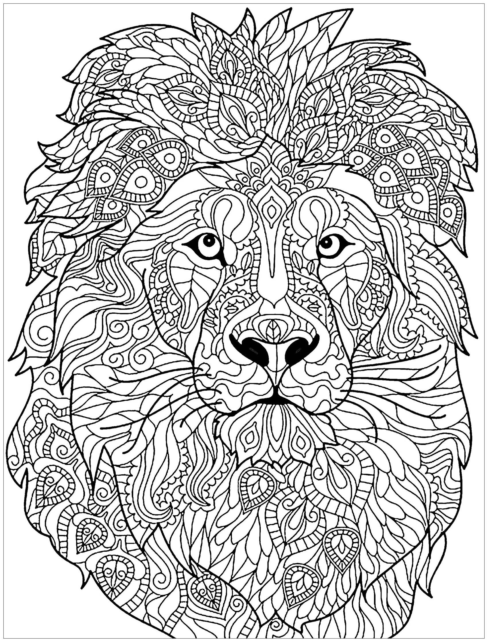 Lion Printable Coloring Pages Lion Printable Coloring Pages
