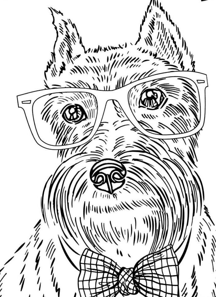 Livro De Colorir Cachorros Encantados Dog Coloring Page Animal Livro De Colorir Cachorros Encantados Dog Coloring Page Animal