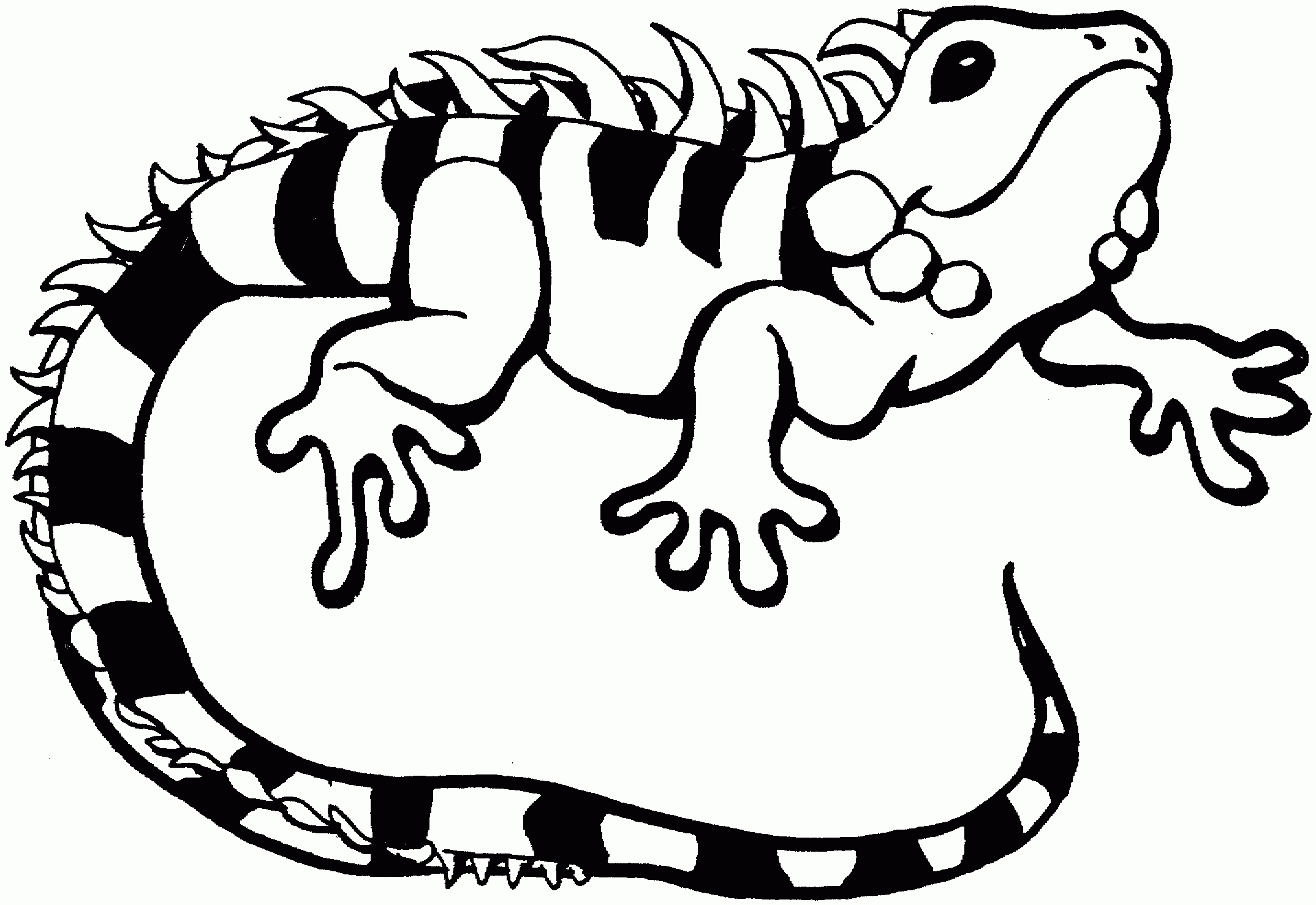 Lizard Printable Coloring Pages Printable Word Searches Lizard Printable Coloring Pages Printable Word Searches