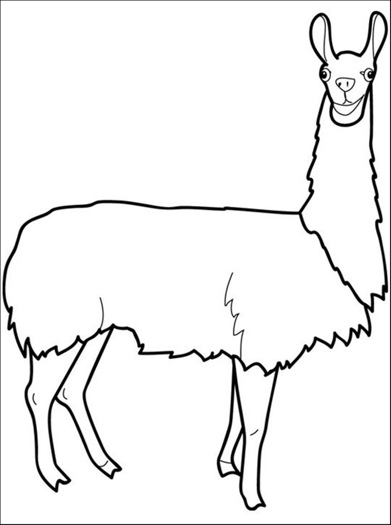 Llama Coloring Pages Kidsuki Llama Coloring Pages Kidsuki