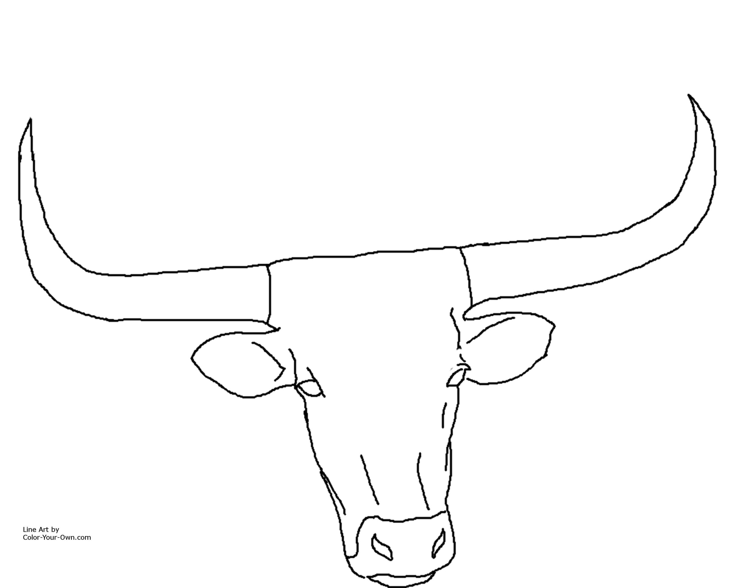 Longhorn Cattle Head Coloring Page Longhorn Cattle Head Coloring Page