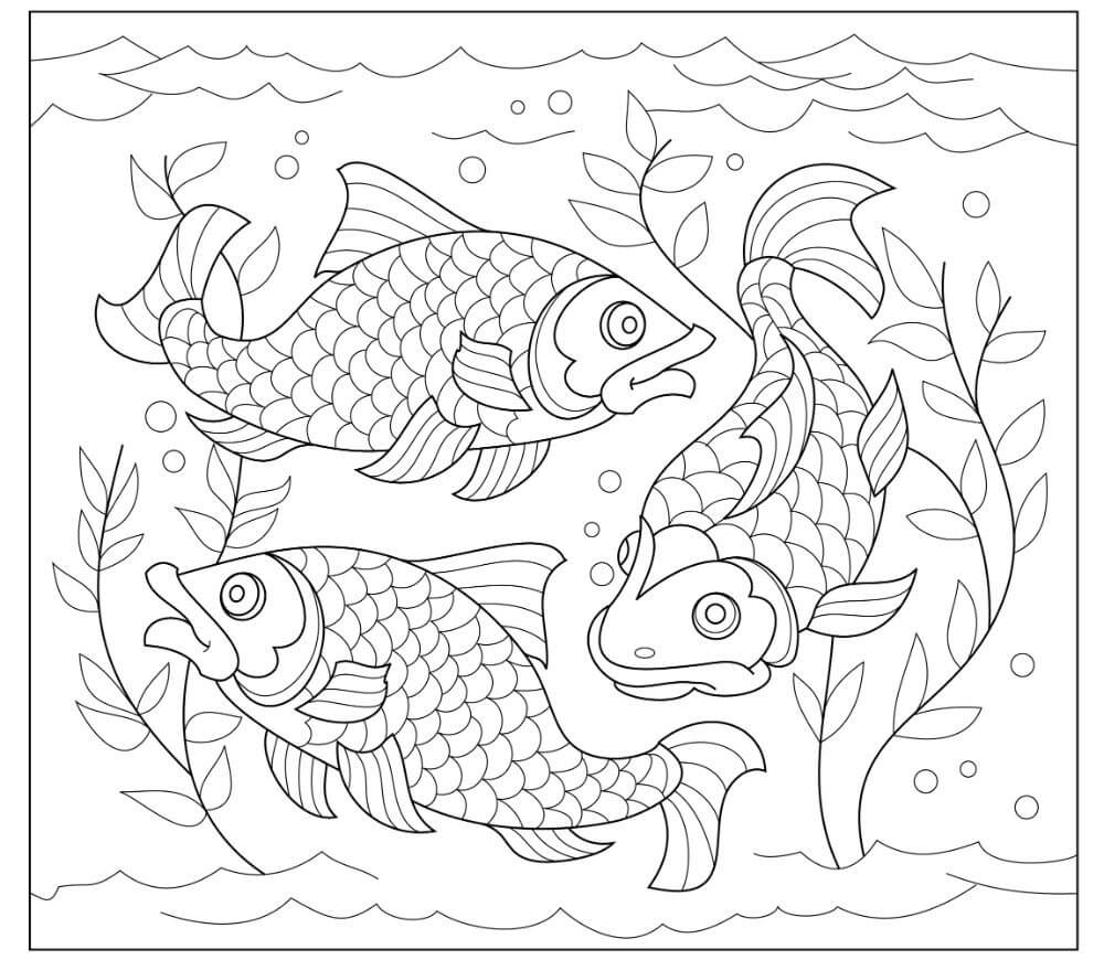 Los Peces Payaso Para Colorear Imprimir E Dibujar ColoringOnly Com