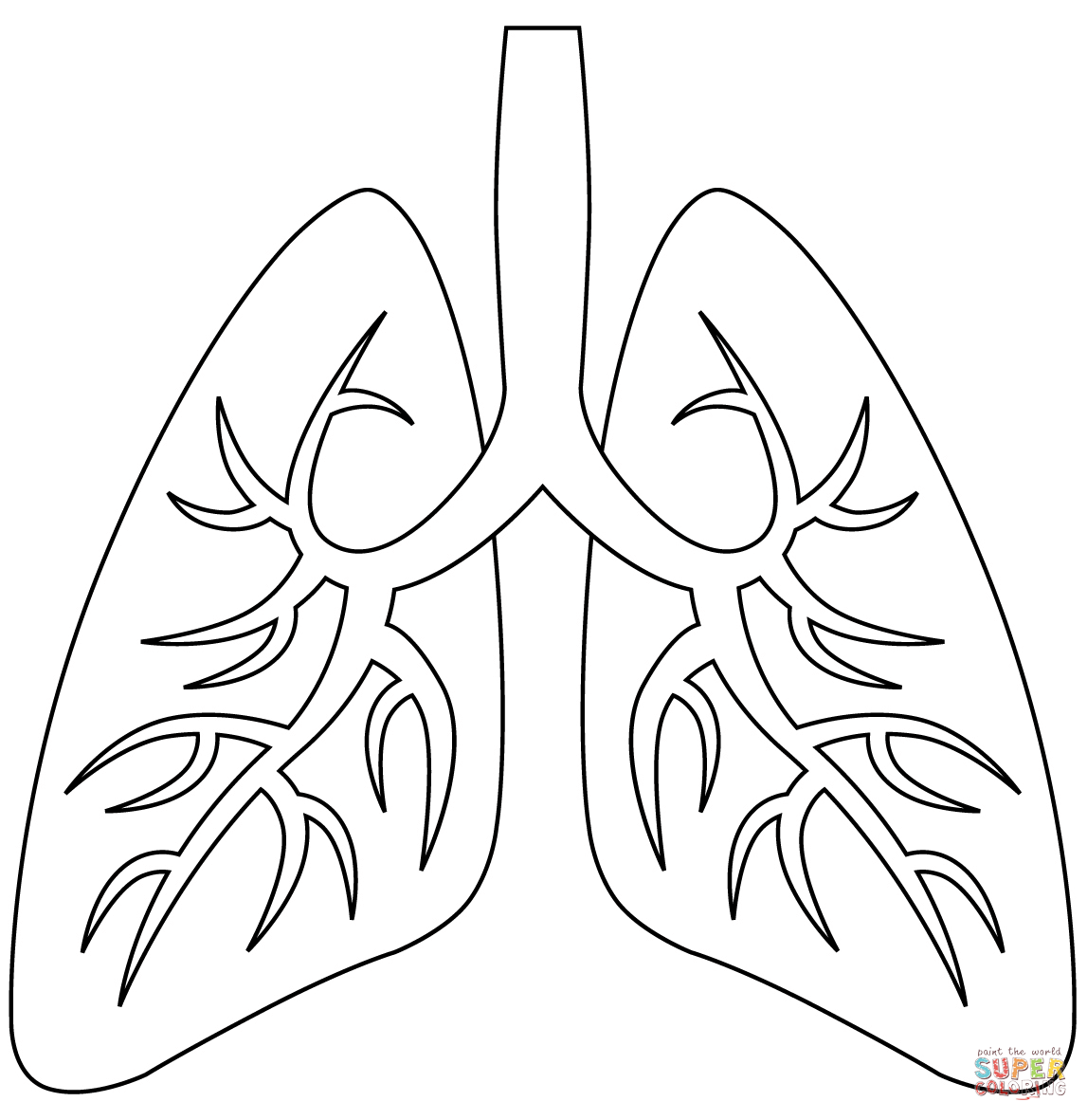Printable Lungs Coloring Pages Printable Lungs Coloring Pages