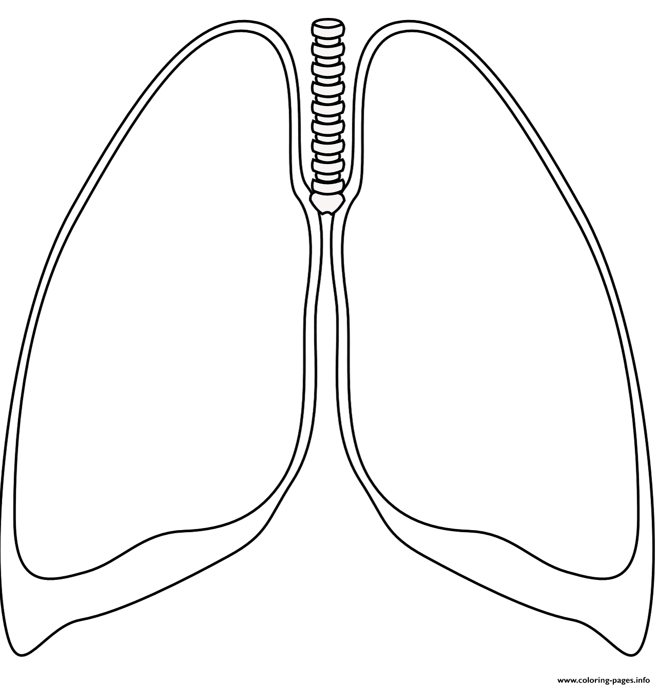 Lungs Coloring Pages Lungs Coloring Pages