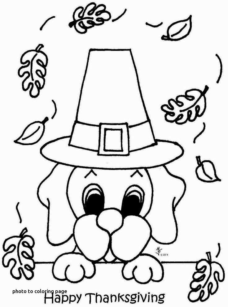 Madison Coloring Pages At GetColorings Free Printable Colorings Madison Coloring Pages At GetColorings Free Printable Colorings