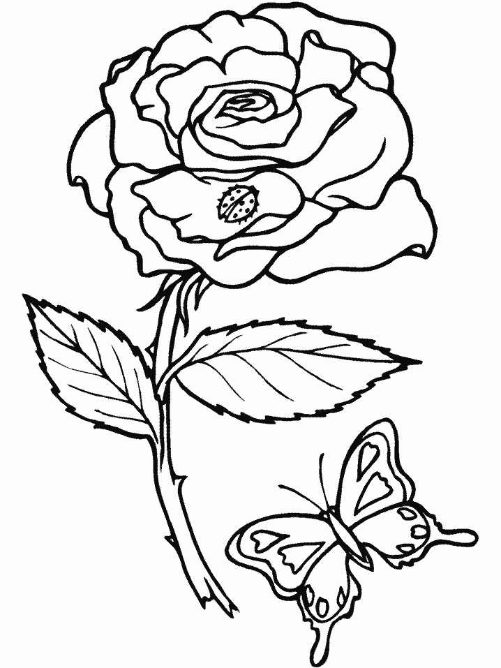 Malvorlage Blumen Malvorlagen 5 Malvorlage Blumen Malvorlagen 5