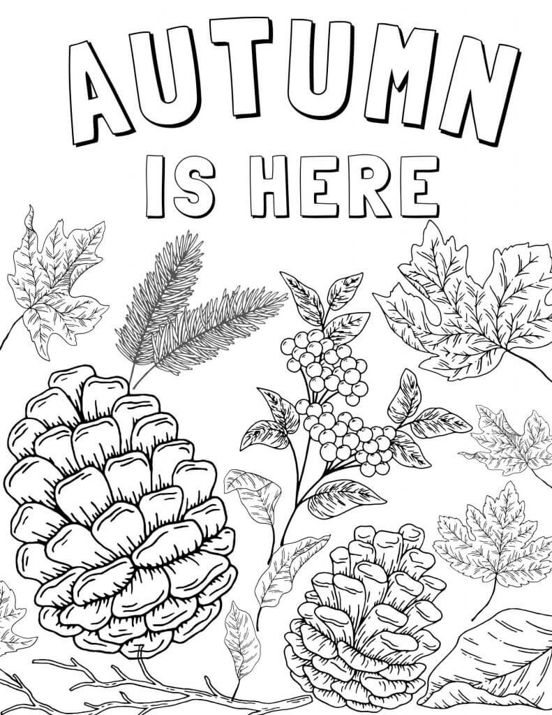 Autumn Color Pages Free Printable Autumn Color Pages Free Printable
