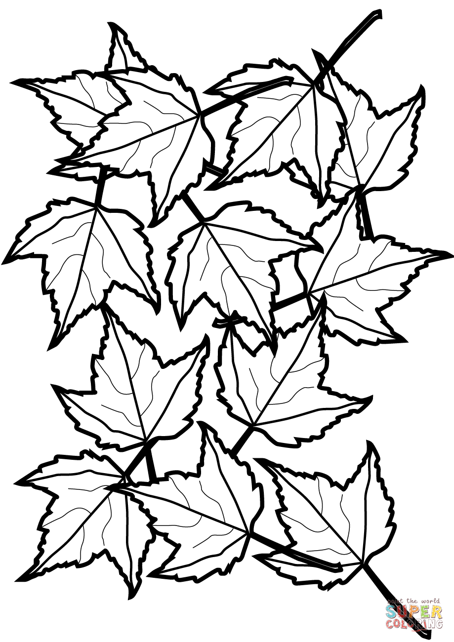 Printable Autumn Leaves Coloring Pages Printable Autumn Leaves Coloring Pages