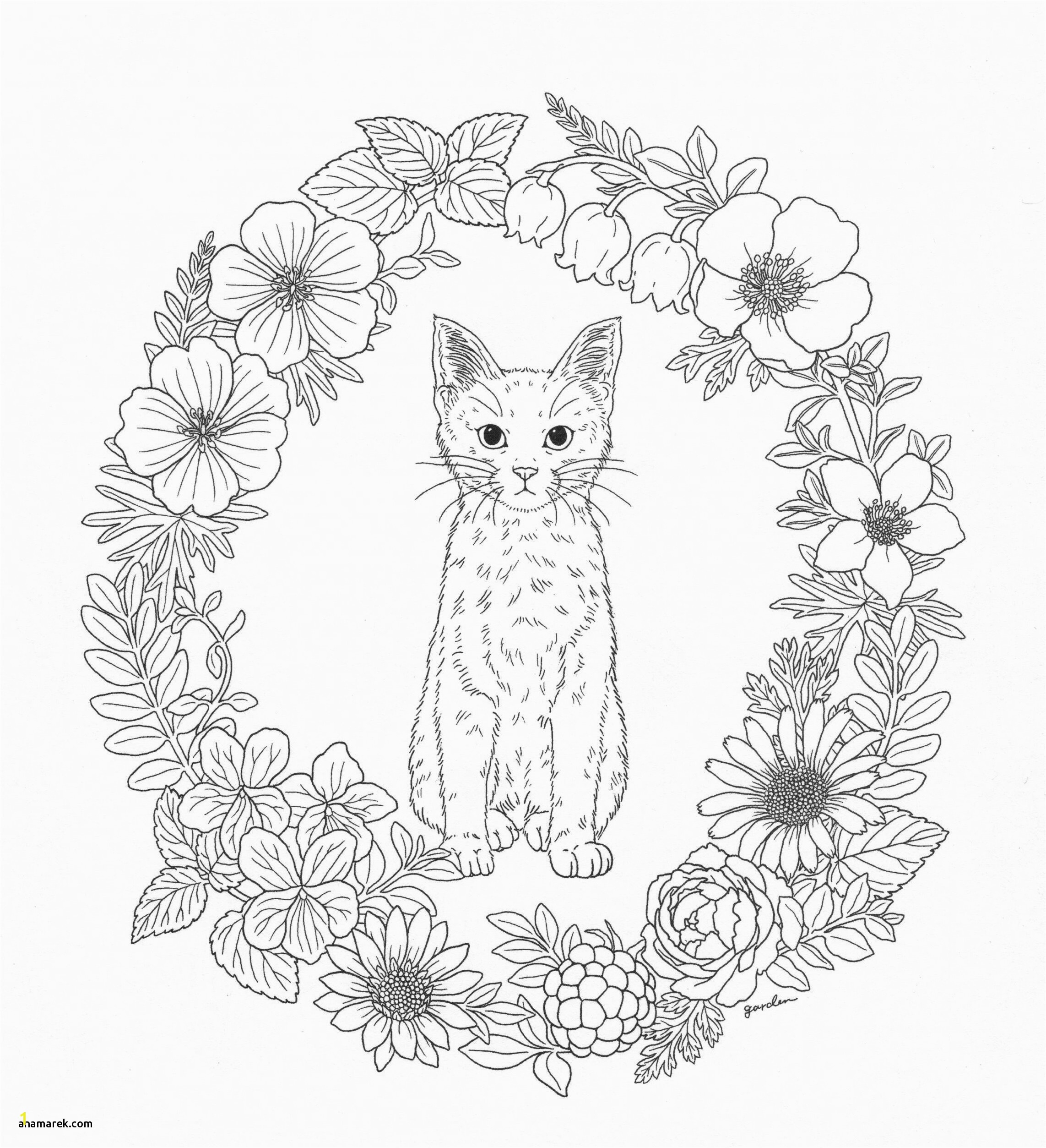 Melanie Martinez Dollhouse Coloring Pages Coloring Pages Melanie Martinez Dollhouse Coloring Pages Coloring Pages