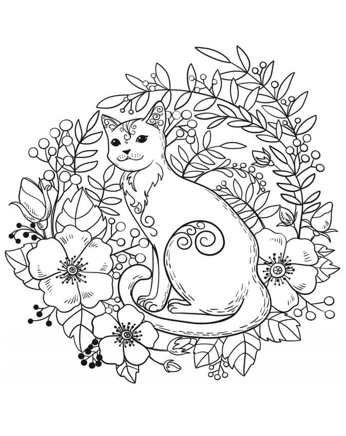 Menino Abra Ando Um Gato Para Colorir Imprimir E Desenhar Colorir Me Menino Abra Ando Um Gato Para Colorir Imprimir E Desenhar Colorir Me