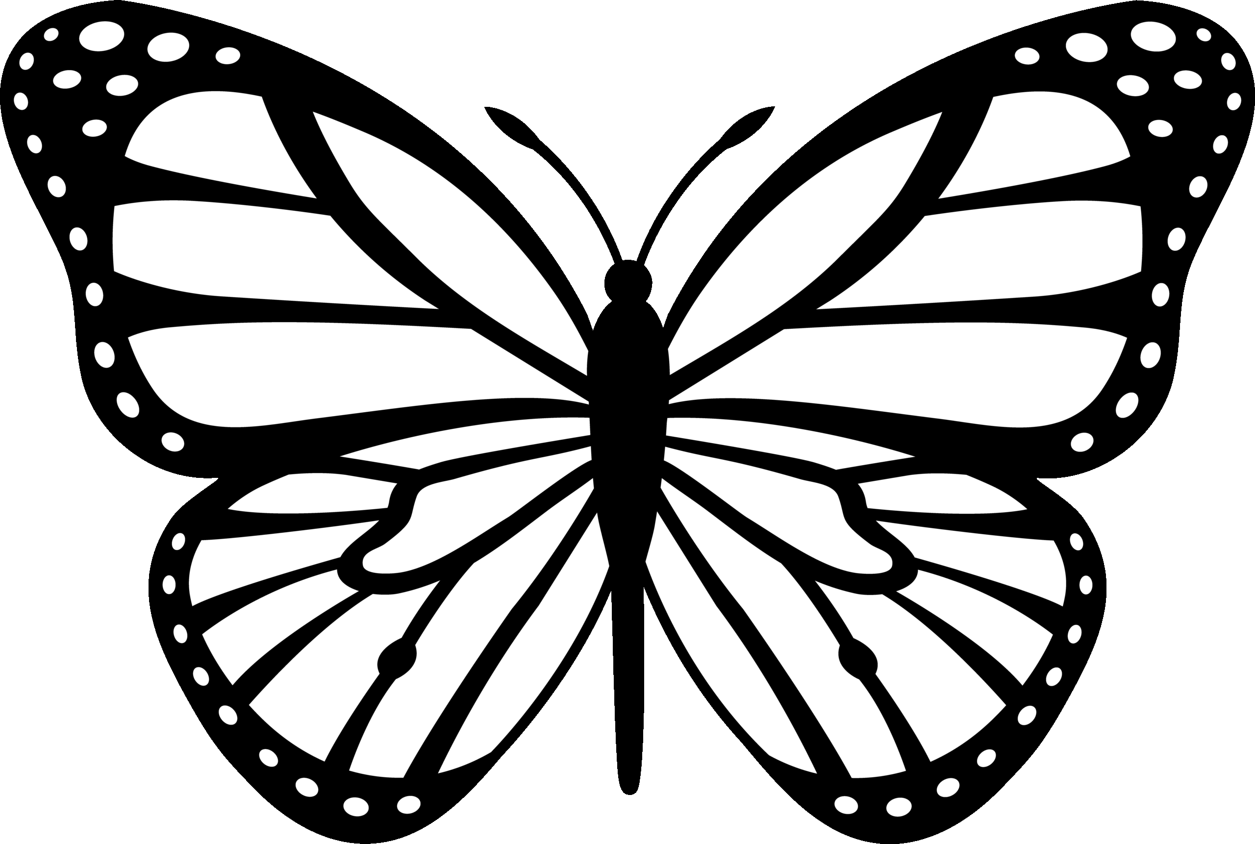 Monarch Butterfly Coloring Page High Quality Coloring Pages Monarch Butterfly Coloring Page High Quality Coloring Pages