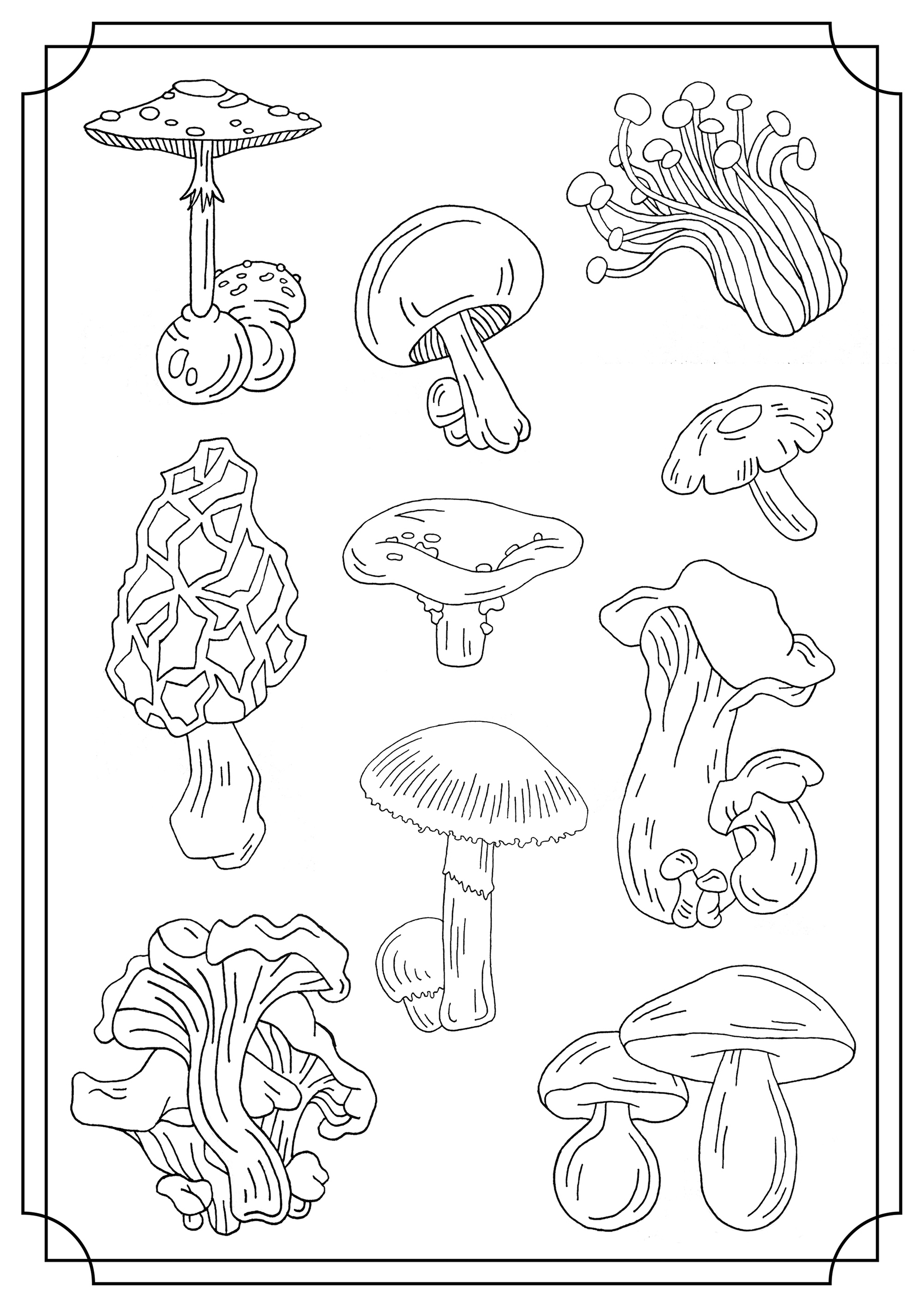 Mushroom Printable Coloring Pages Mushroom Printable Coloring Pages