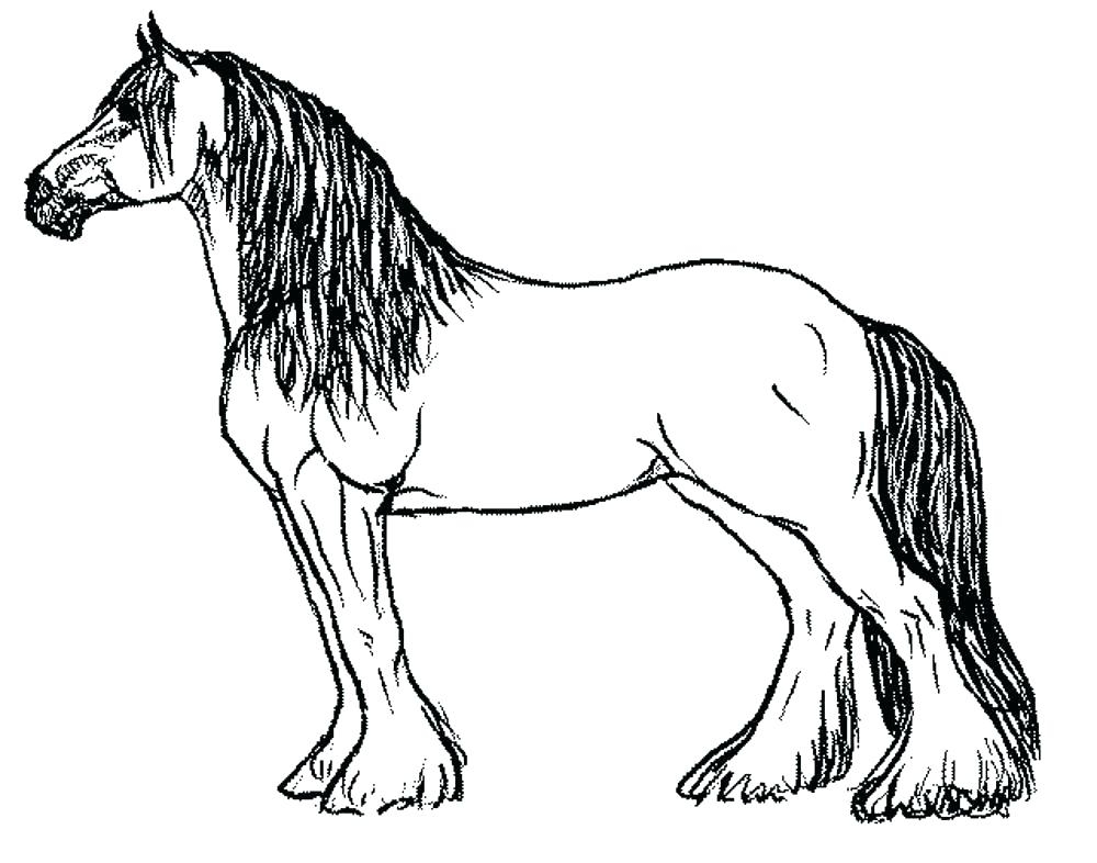 Mustang Horse Coloring Pages Printable At GetColorings Free Mustang Horse Coloring Pages Printable At GetColorings Free