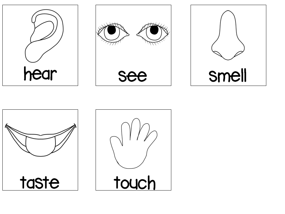 Printable Five Senses Coloring Pages For Preschool Printable Five Senses Coloring Pages For Preschool