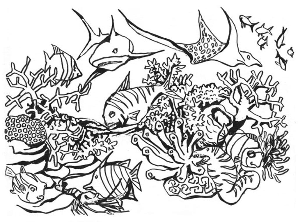 Nice Ocean Scene Coloring Page Free Printable Coloring Pages For Kids Nice Ocean Scene Coloring Page Free Printable Coloring Pages For Kids
