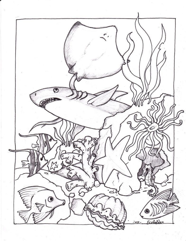Ocean Coloring Pages Pdf Ocean Coloring Ocean Themed Coloring