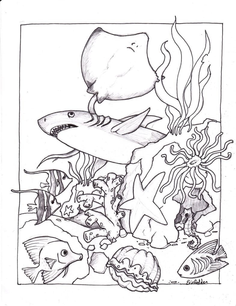Ocean Creatures Coloring Page Free Printable Coloring Pages For Kids Ocean Creatures Coloring Page Free Printable Coloring Pages For Kids