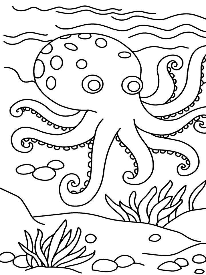 Octopus Printable Coloring Pages Octopus Printable Coloring Pages