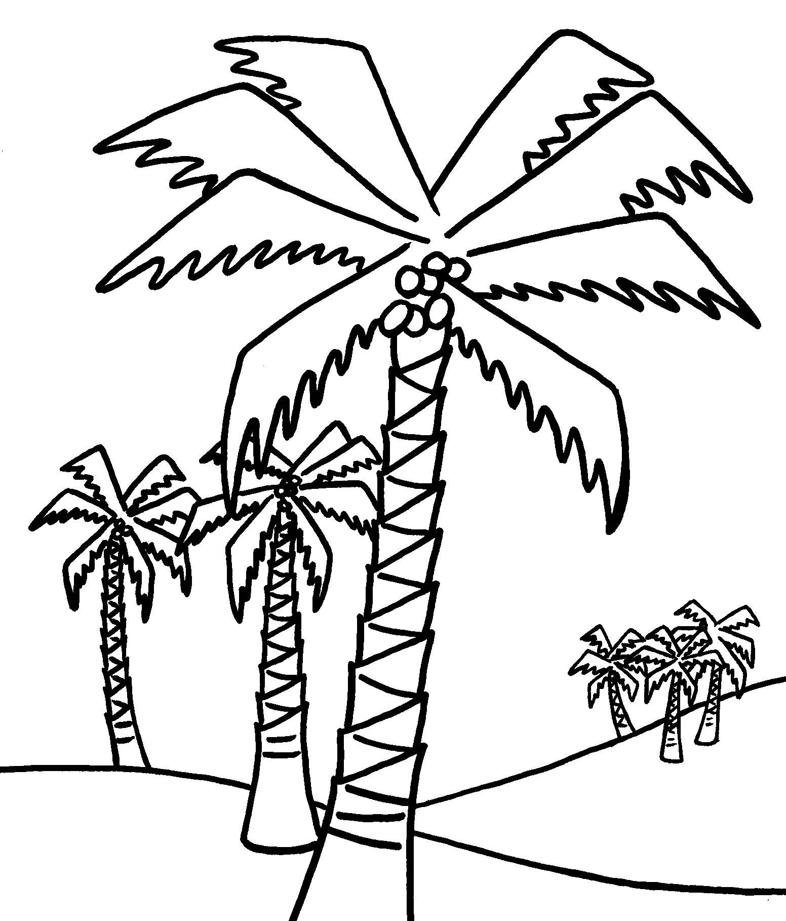 Olive Tree Coloring Page At GetColorings Free Printable Colorings
