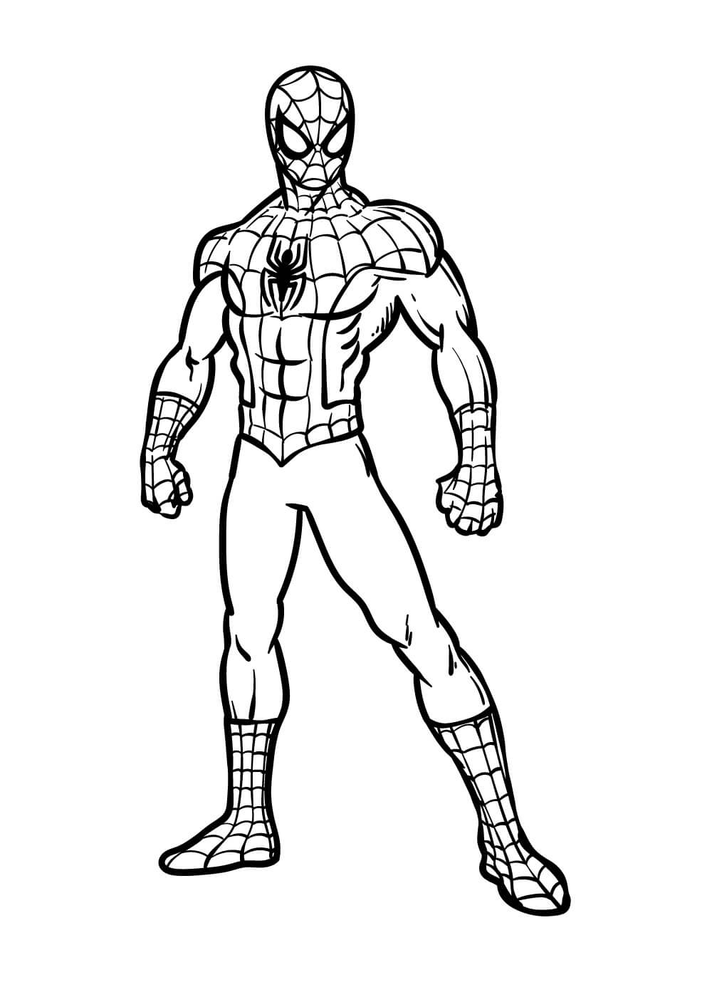 Omalov Nka Skv L Spiderman Ve M St K Vytisknut Zdarma Omalov Nka Skv L Spiderman Ve M St K Vytisknut Zdarma