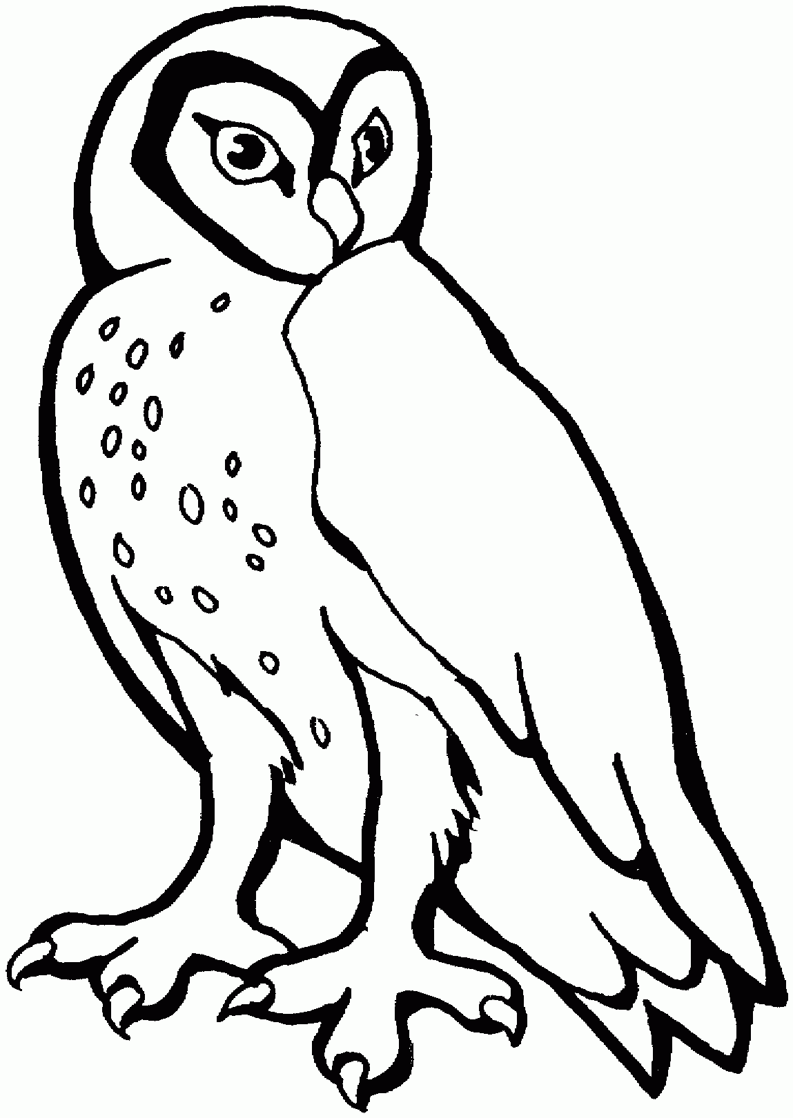 Owl Coloring Page Printable Owl Coloring Page Printable
