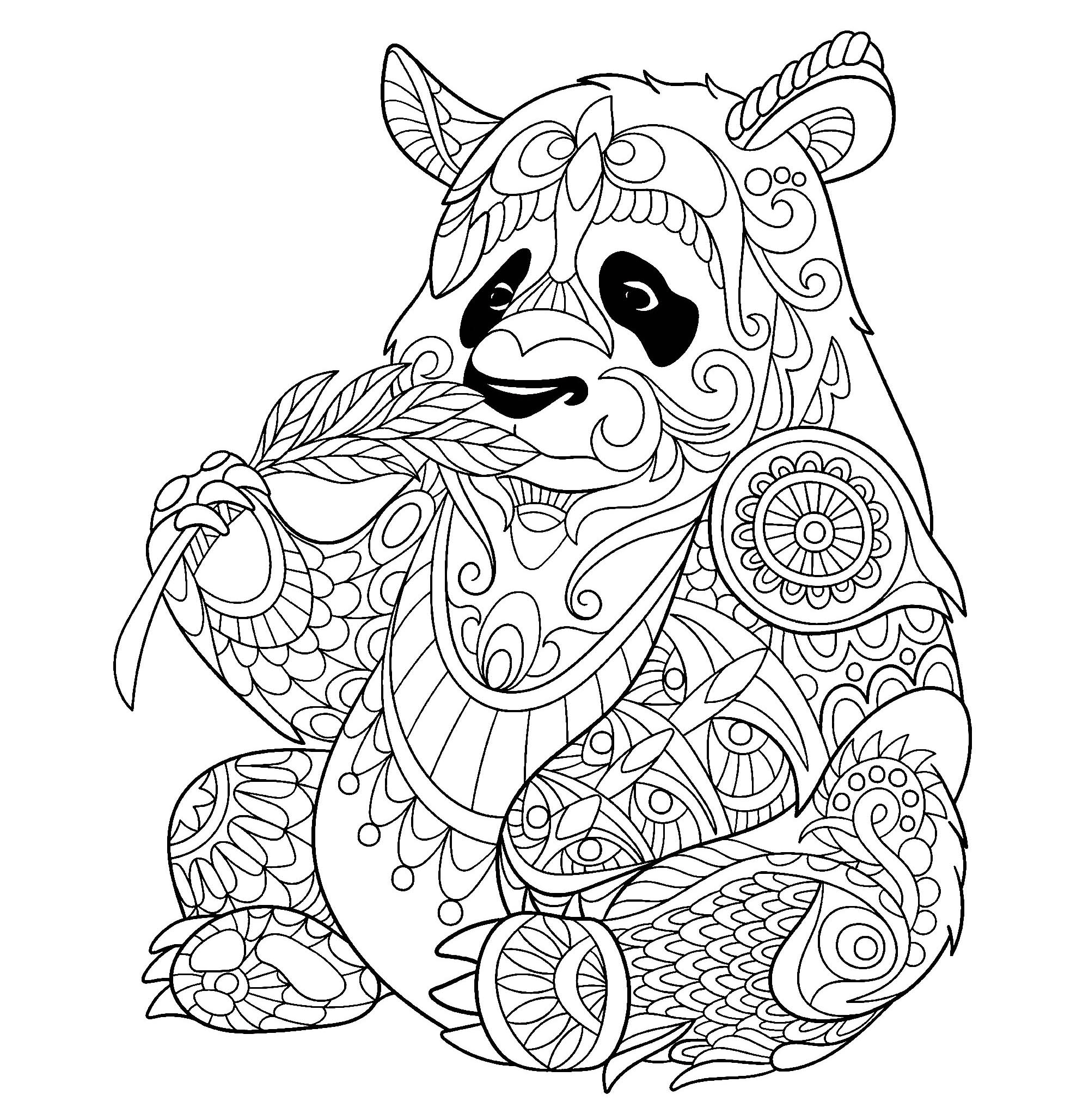 Panda Eating Bamboo Shoot P A Adult Coloring Pages