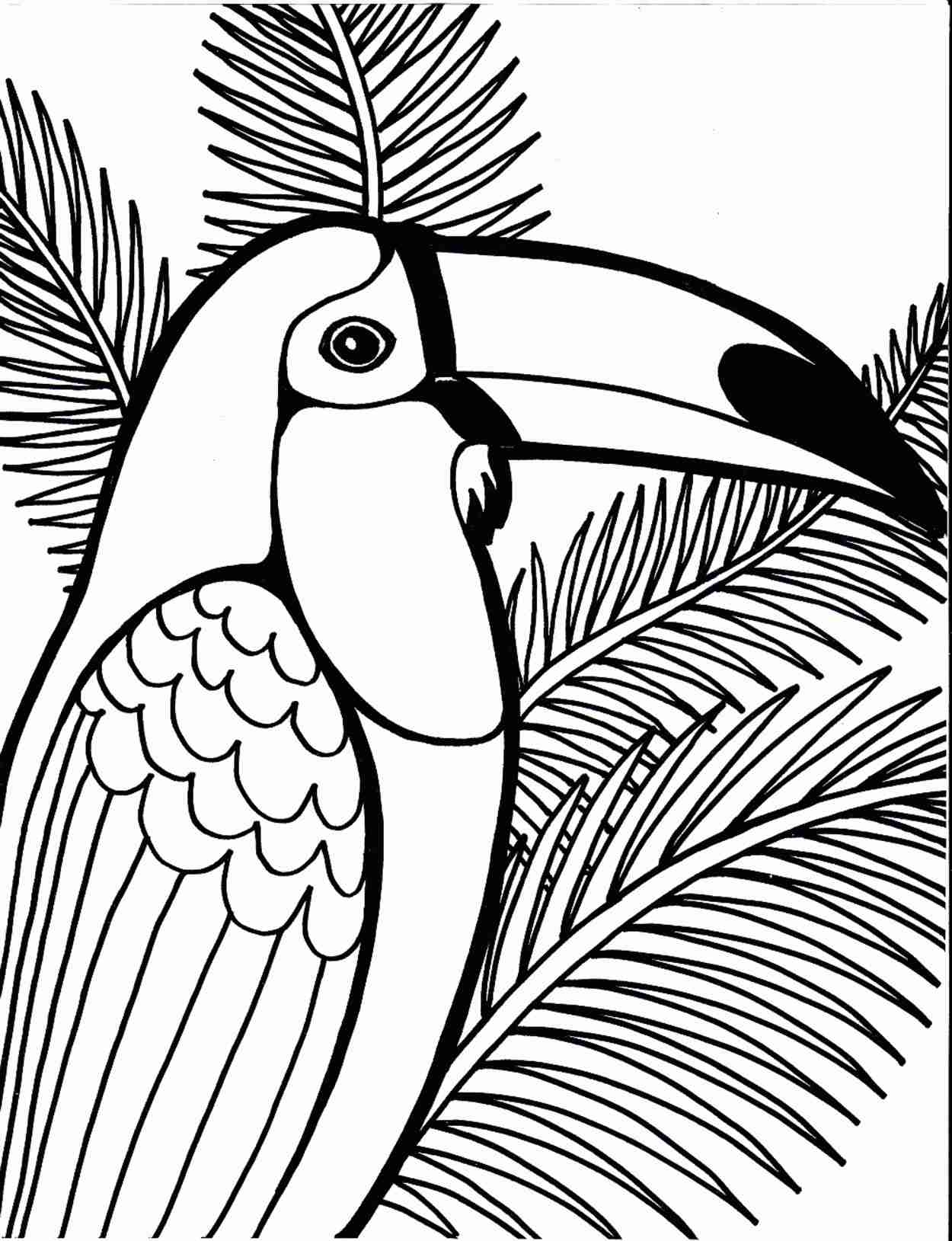 Parrot Coloring Pages Printable Parrot Coloring Pages Printable