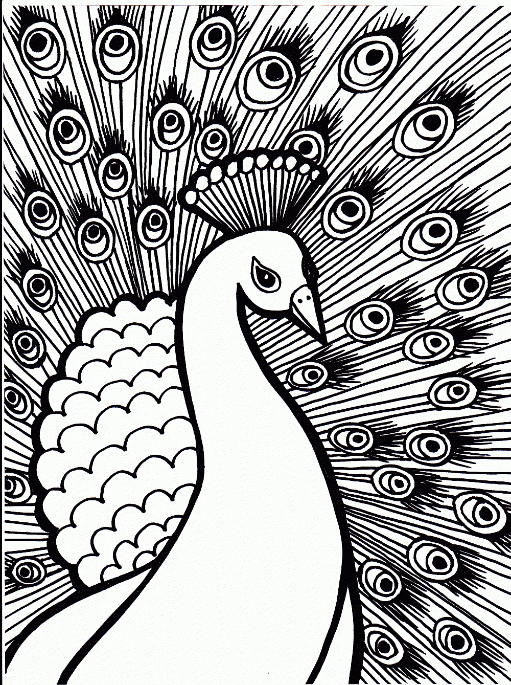 Peacock Coloring Pages Kidsuki Peacock Coloring Pages Kidsuki