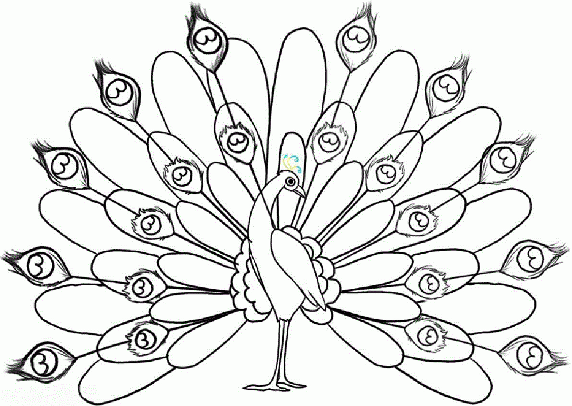Peacock Printable Coloring Pages Portal Tribun Peacock Printable Coloring Pages Portal Tribun