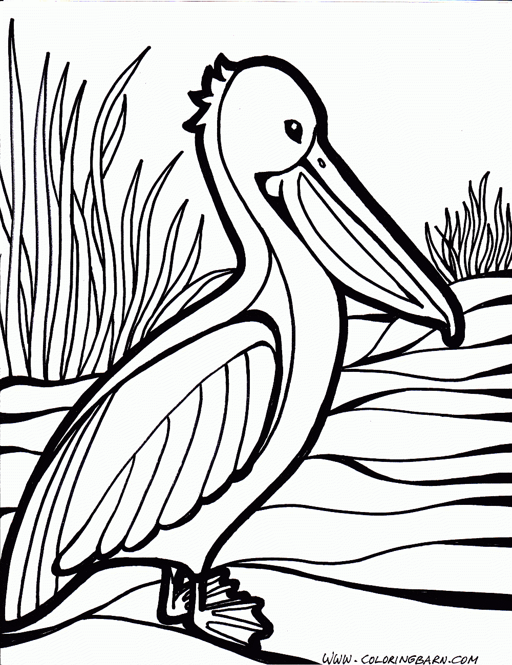 Pelican Coloring Page Bird Coloring Pages Pelican Art Coloring Pages Pelican Coloring Page Bird Coloring Pages Pelican Art Coloring Pages