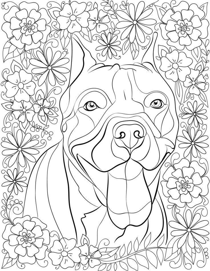 Stained Glass Coloring Pages Free Printables