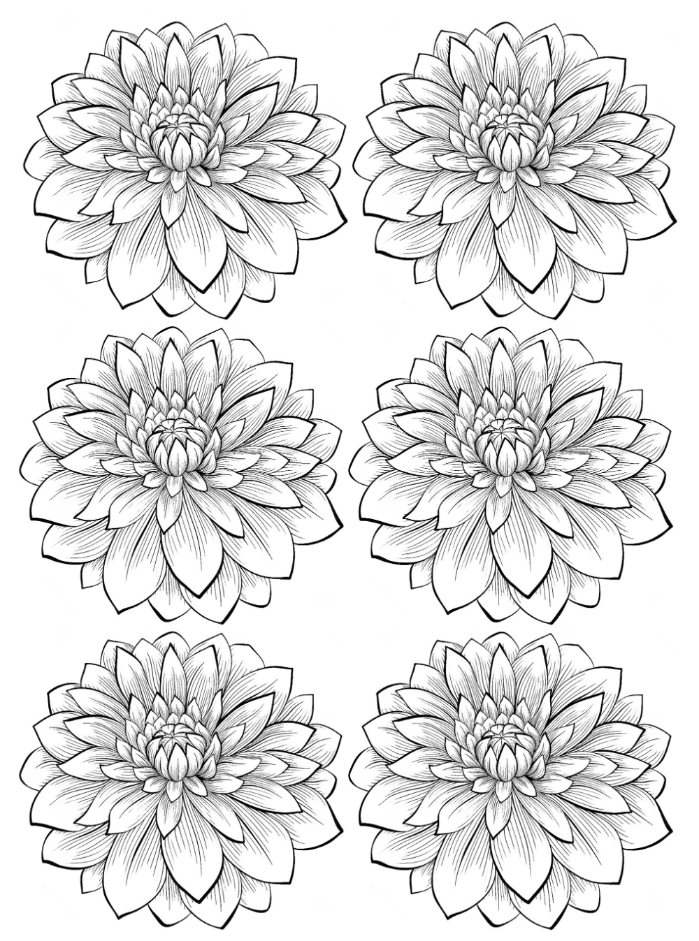 Pin By Ana Maria On Paginas Para Colorear Printable Flower Coloring