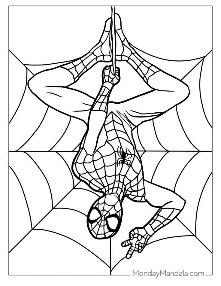 Pin By Dmaria S On Libro De Colorear In 2024 Spider Coloring Page