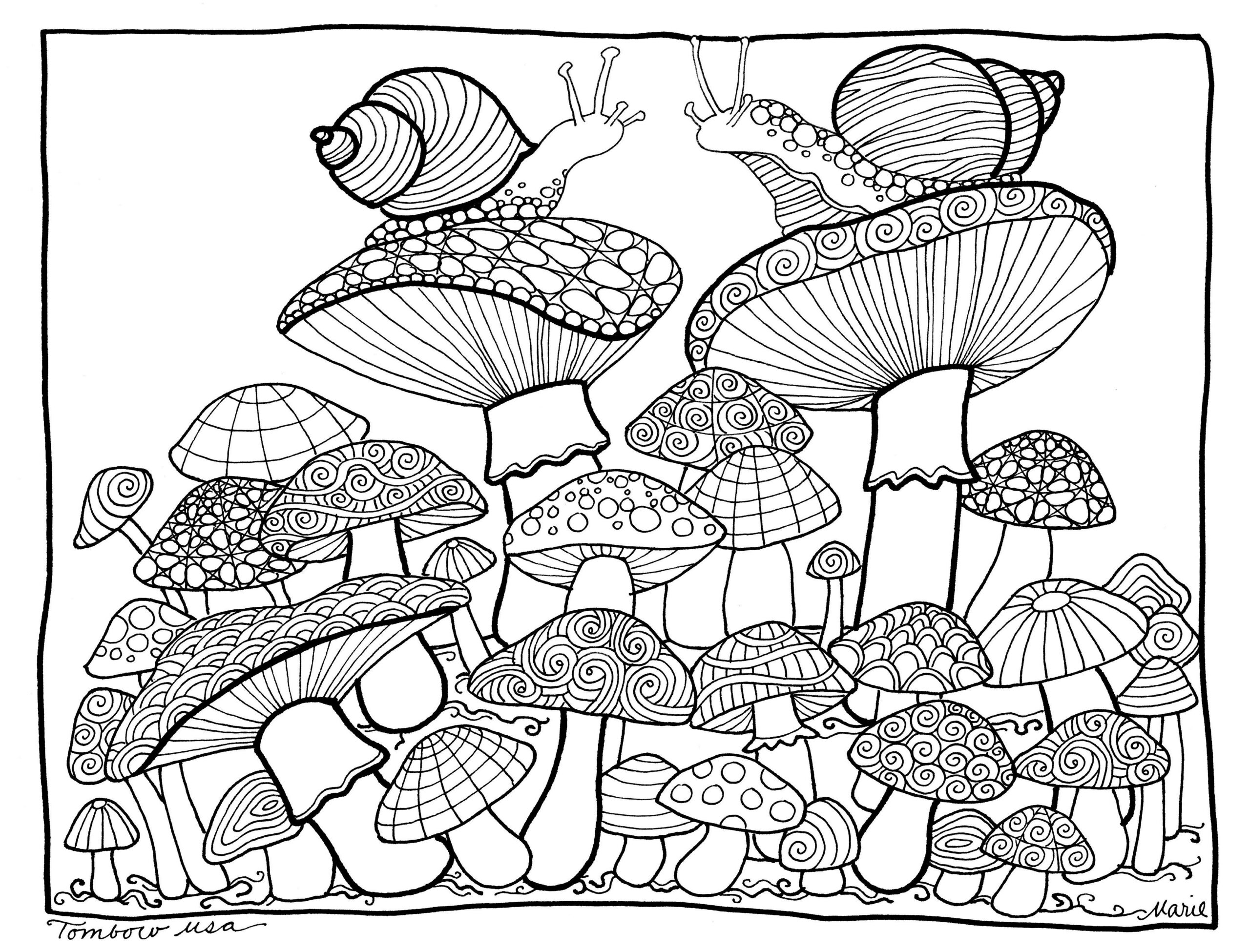 Pin On Coloring Pin On Coloring