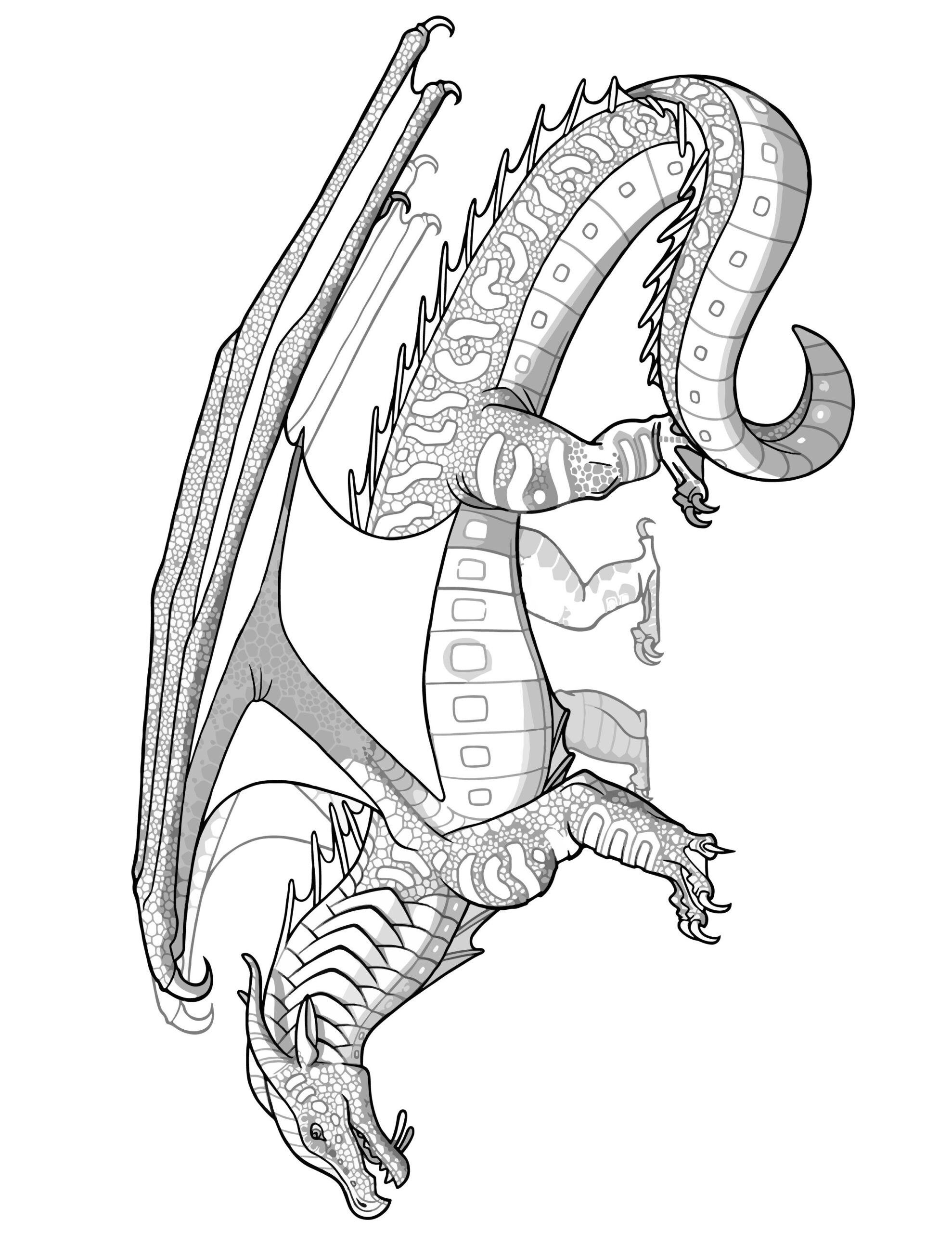 Printable Coloring Pages Dragon Printable Coloring Pages Dragon