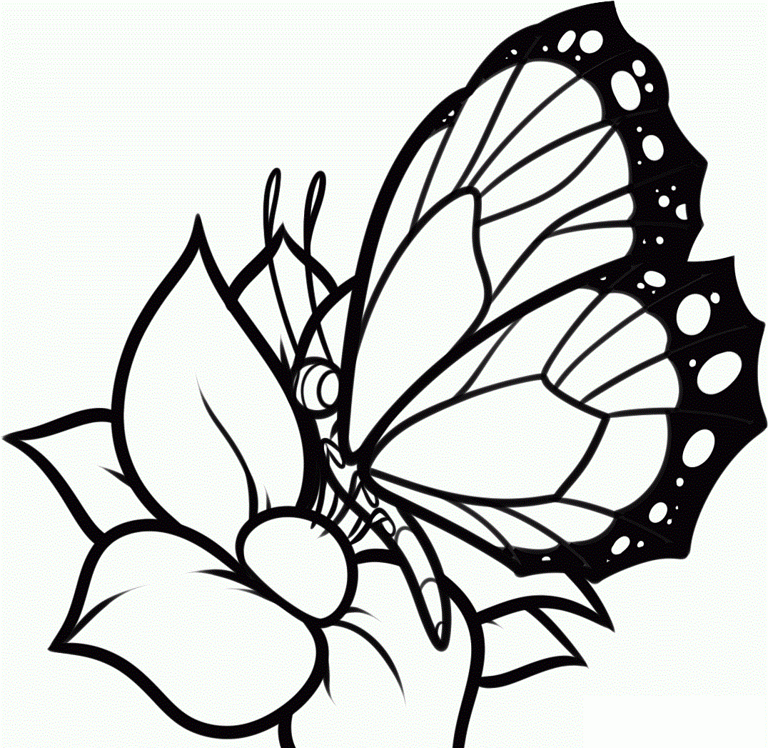 Pin Op Coloring Pages