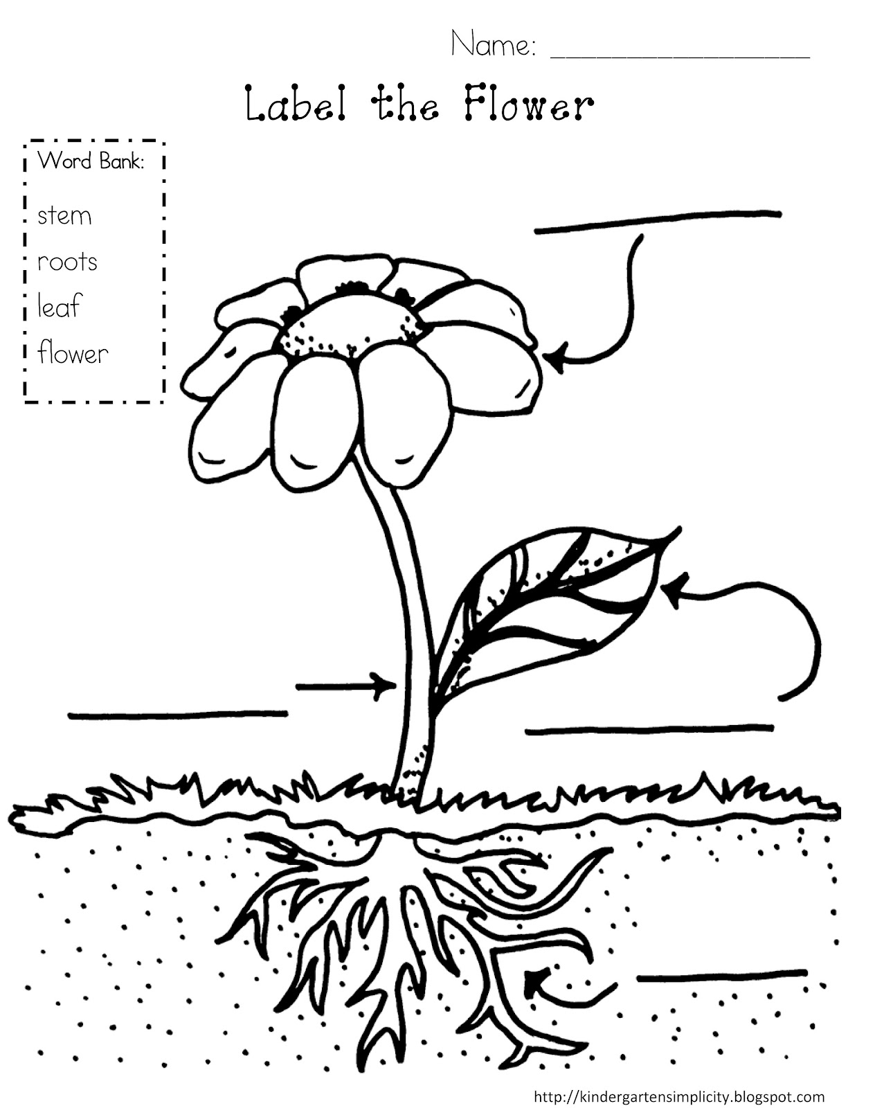 Plant Coloring Pages To Download And Print For Free