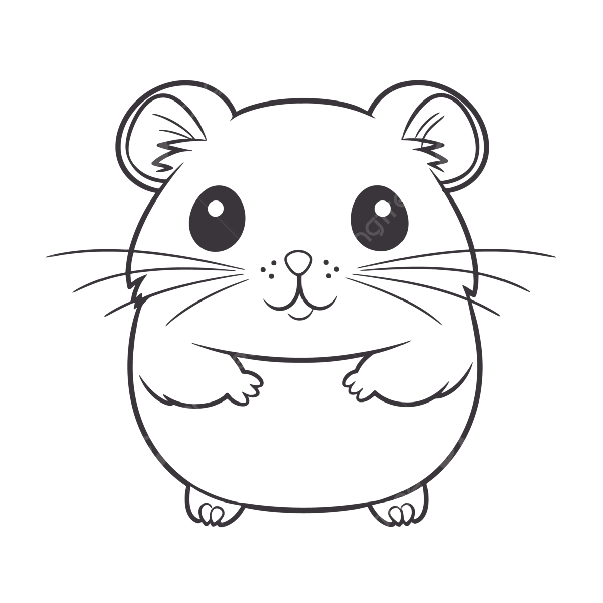 PNG PNG