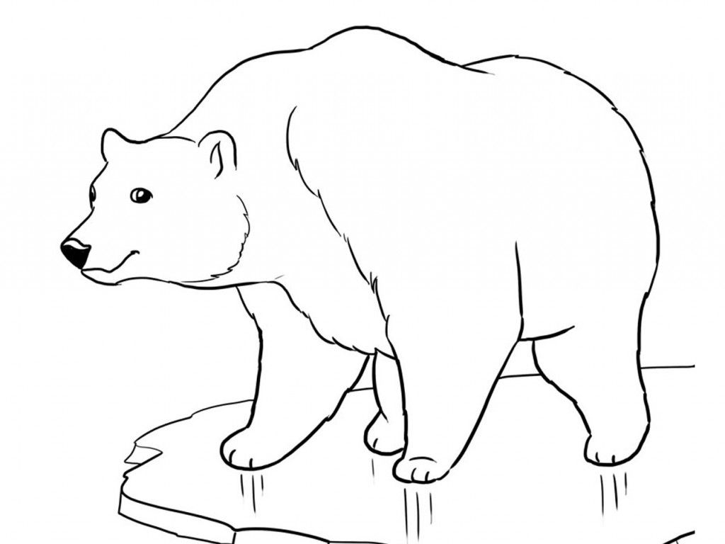 Polar Bear Coloring Pages Printable Printable Word Searches