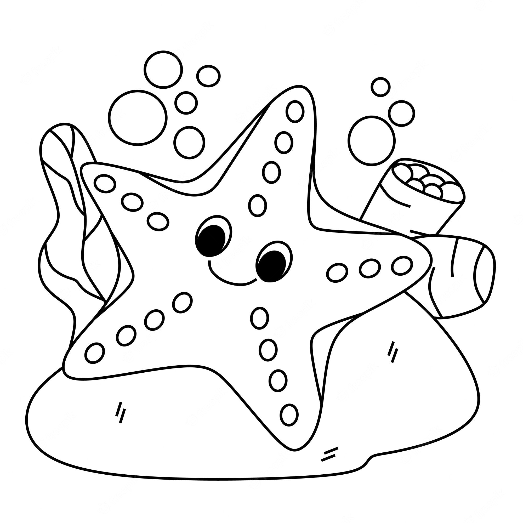 Premium Vector Coloring Page Alphabets Animal Cartoon Starfish Premium Vector Coloring Page Alphabets Animal Cartoon Starfish