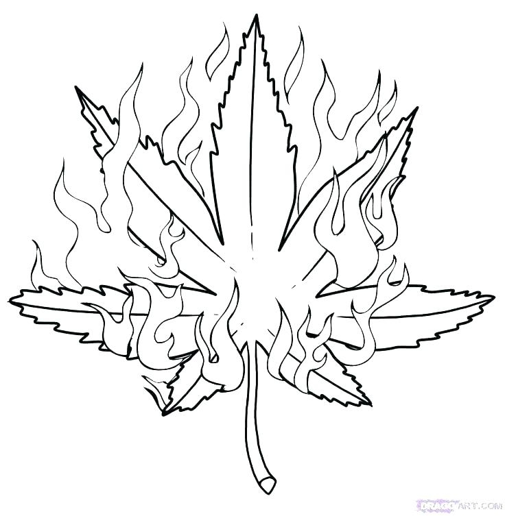 Printable 420 Coloring Pages Portal Tribun Printable 420 Coloring Pages Portal Tribun