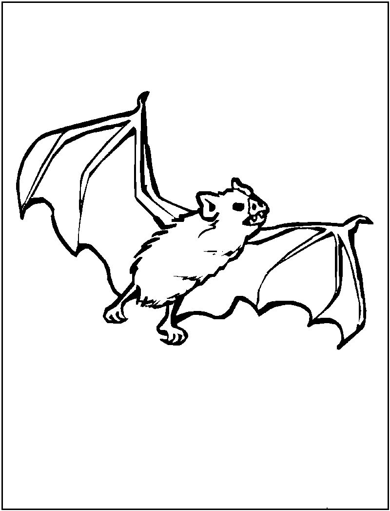Printable Bat Coloring Pages Printable Bat Coloring Pages
