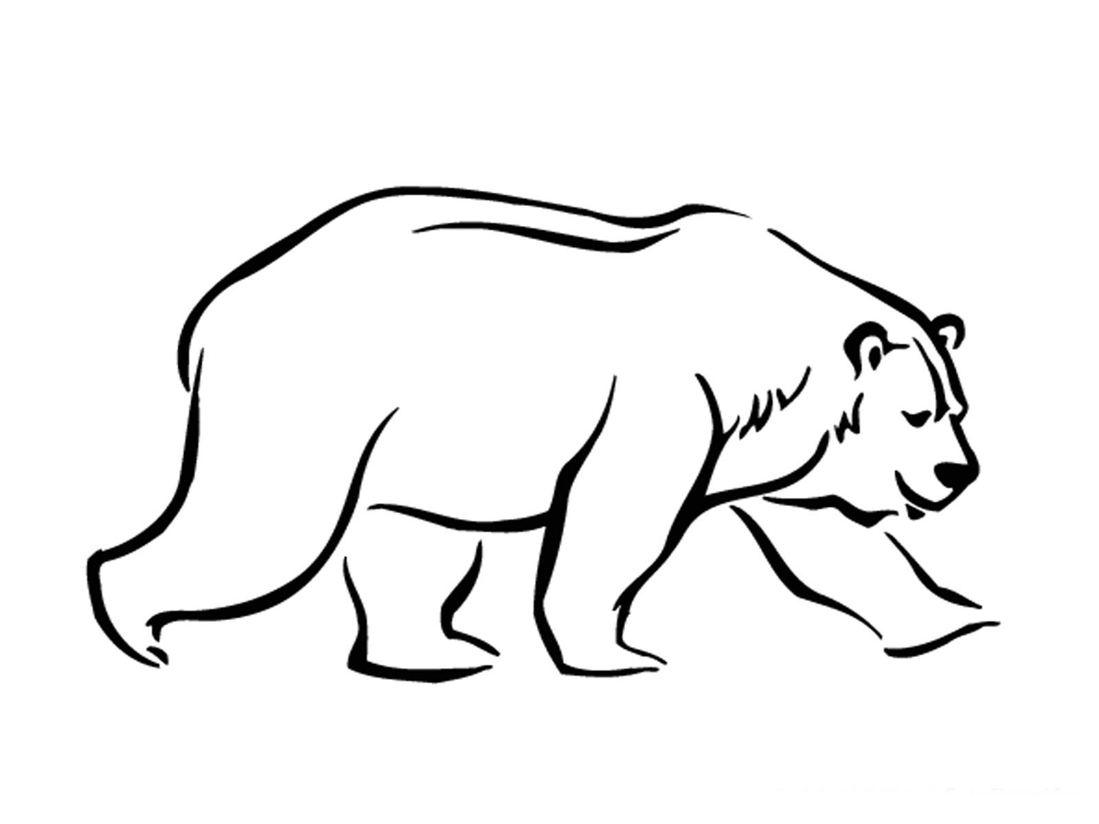 Printable Bear Pictures To Color Printable Bear Pictures To Color