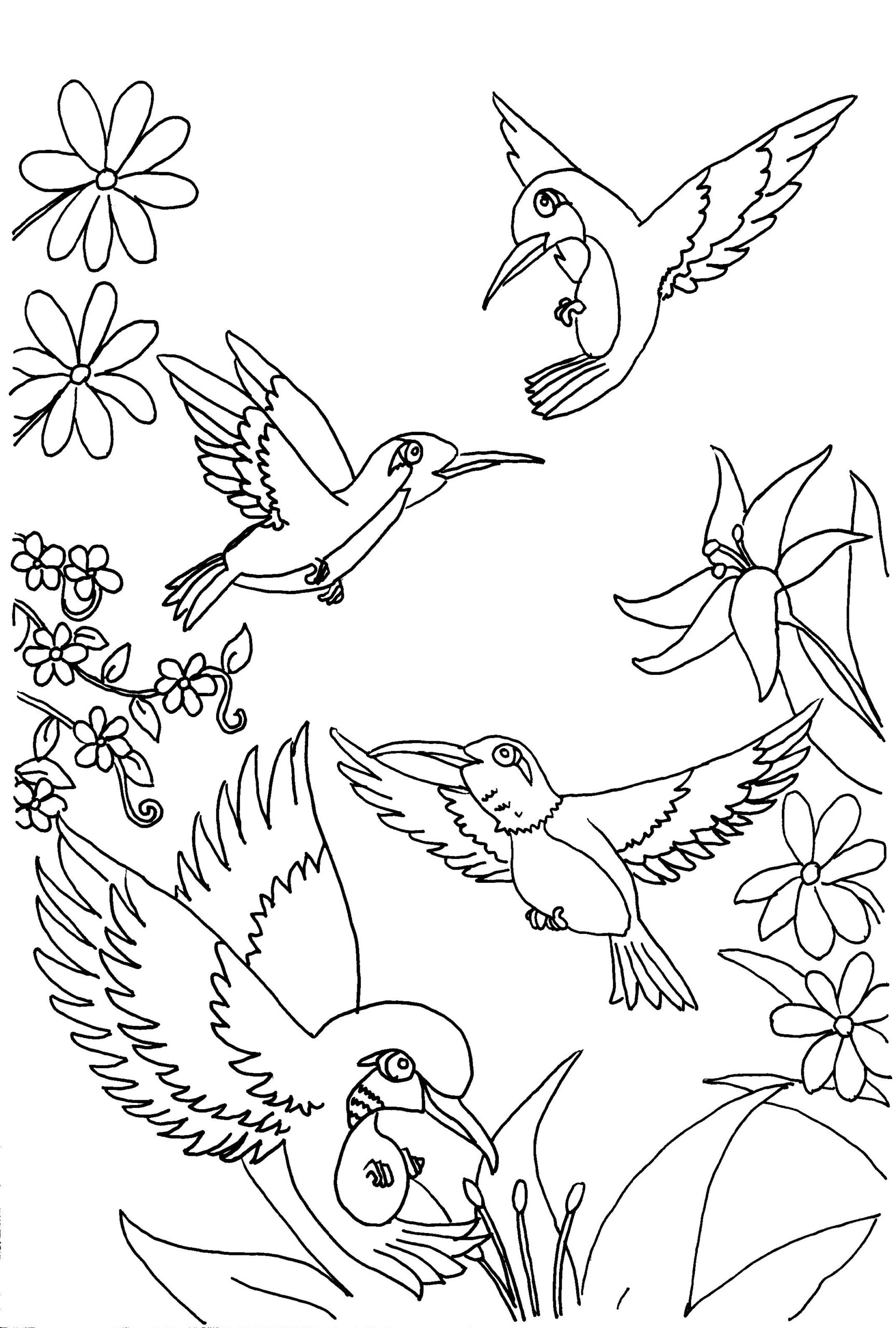 Printable Coloring Pages Birds Printable Coloring Pages Birds