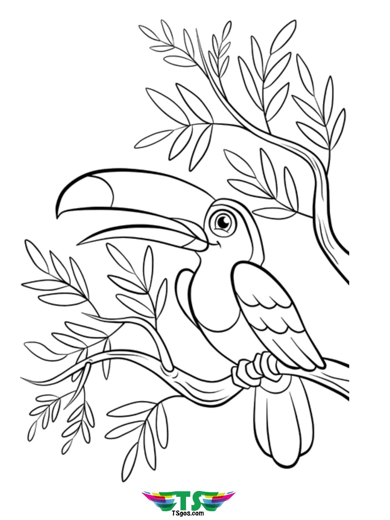 Printable Bird Colouring Pages Printable Bird Colouring Pages