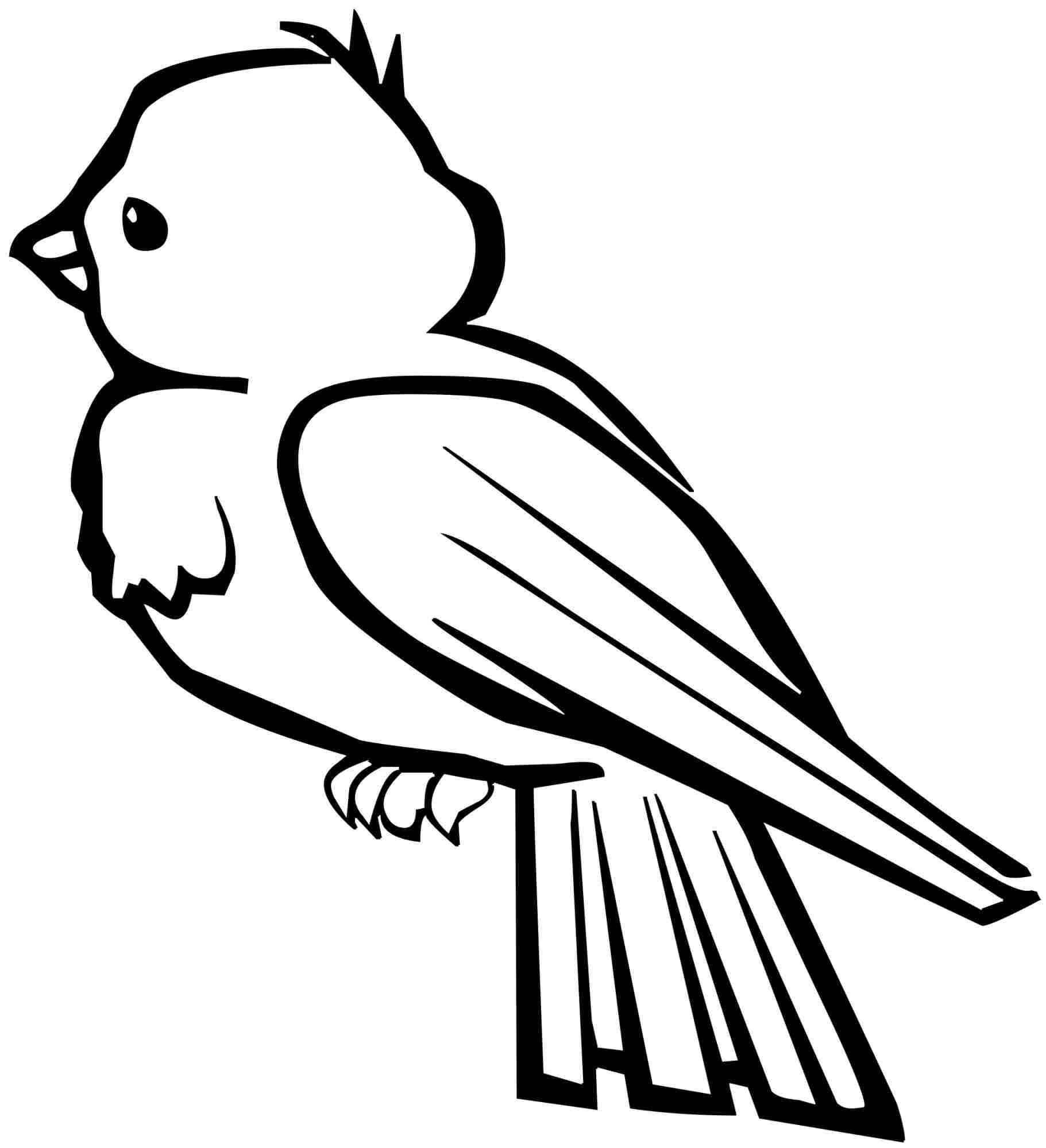 Printable Bird Pictures Printable Bird Pictures